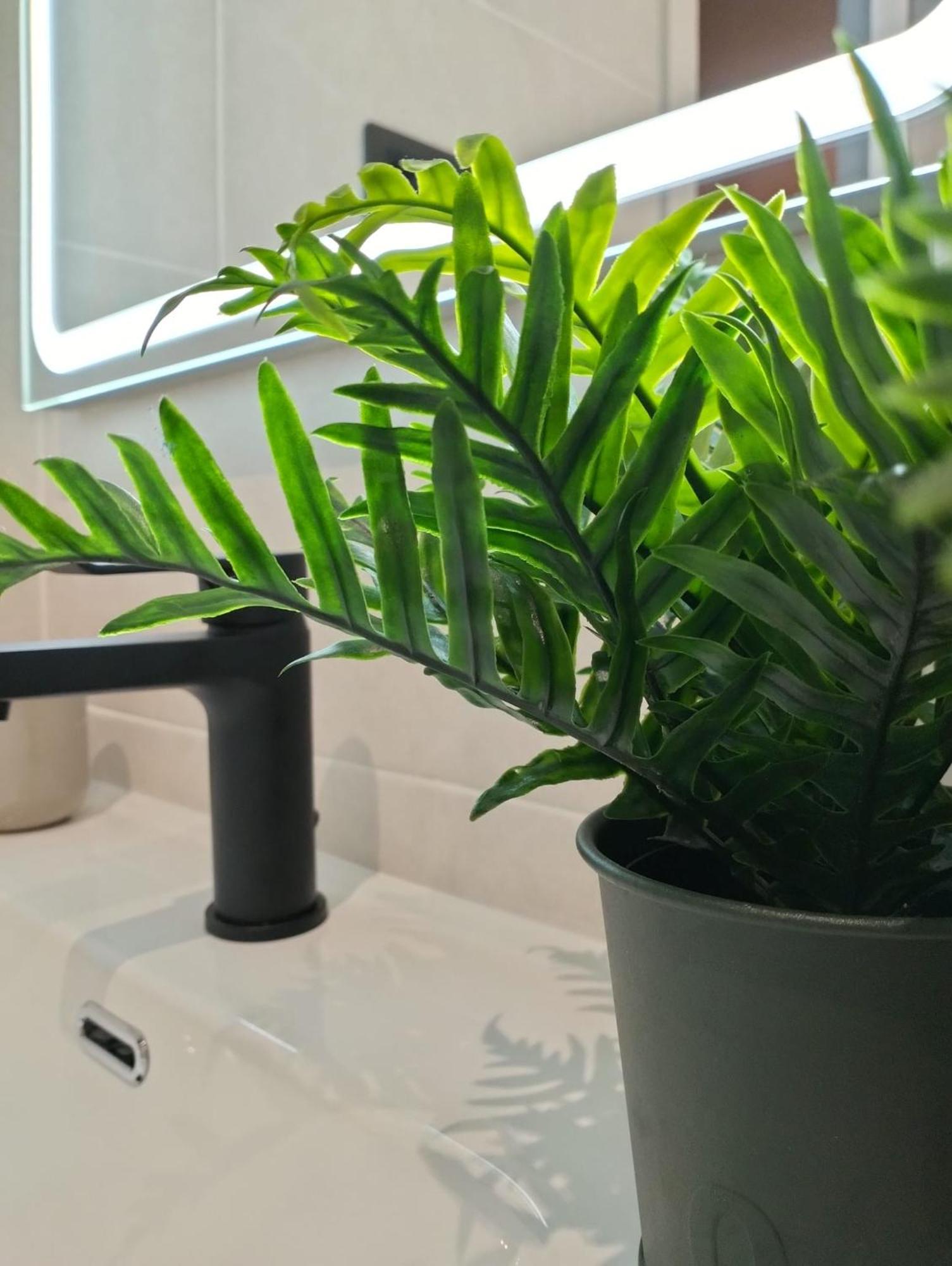 Apartamento Verdemare Corralejo Extérieur photo